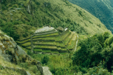 Inca trail, machupichu