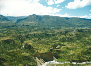 Colca terraces, Peru