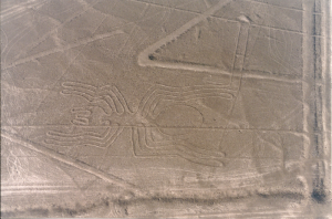 araña, Nazca lines